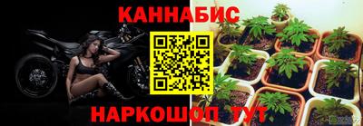 тгк Аргун